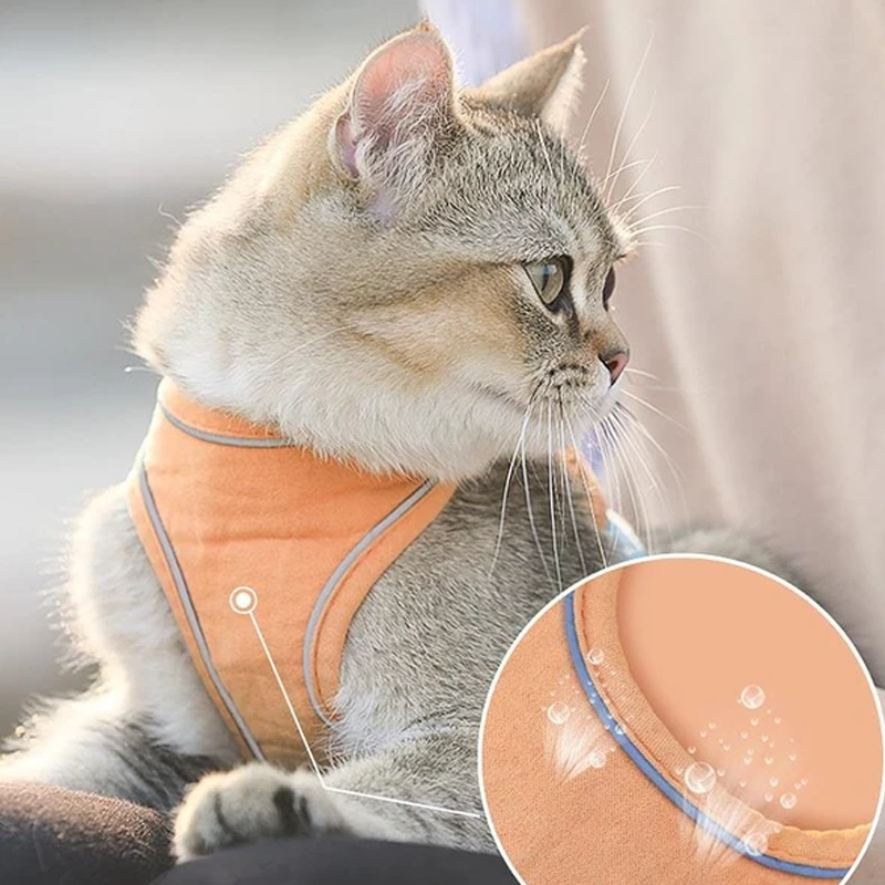 Harness and Leash Set for Cat | Skanto