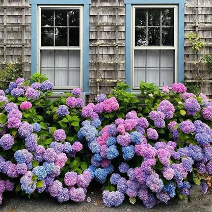 BowLift | Outdoor Artificial Hydrangea Flowers