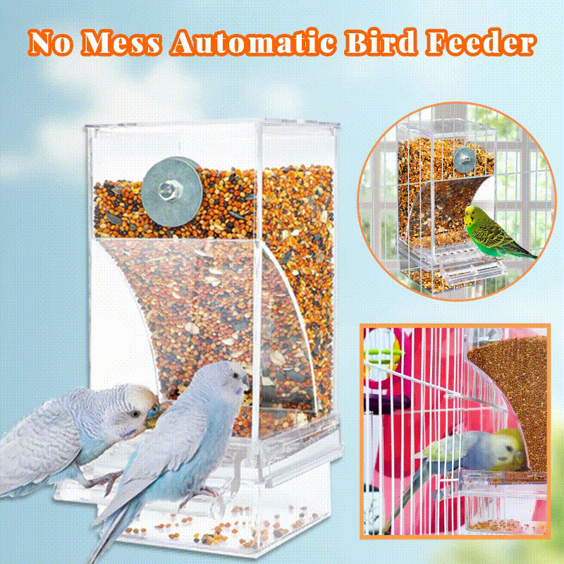 Automatic overflow protection Transparent bird feeder | Bowlift