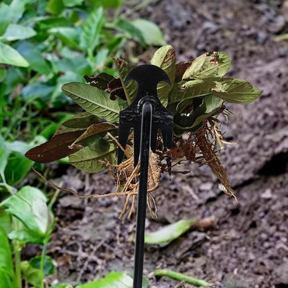 BowLift | New Garden Weed Pulling Tool