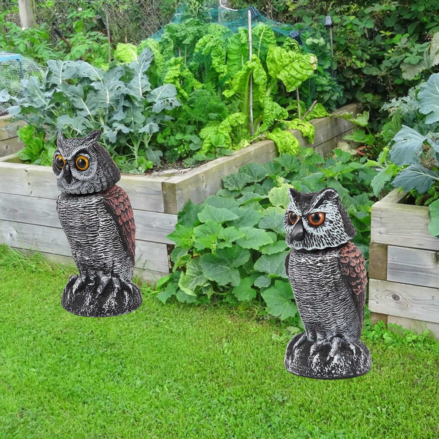 BowLift | Realistic 2-Pack Owl Decoy with Rotating Head – Outdoor Bird & Pest Repellent