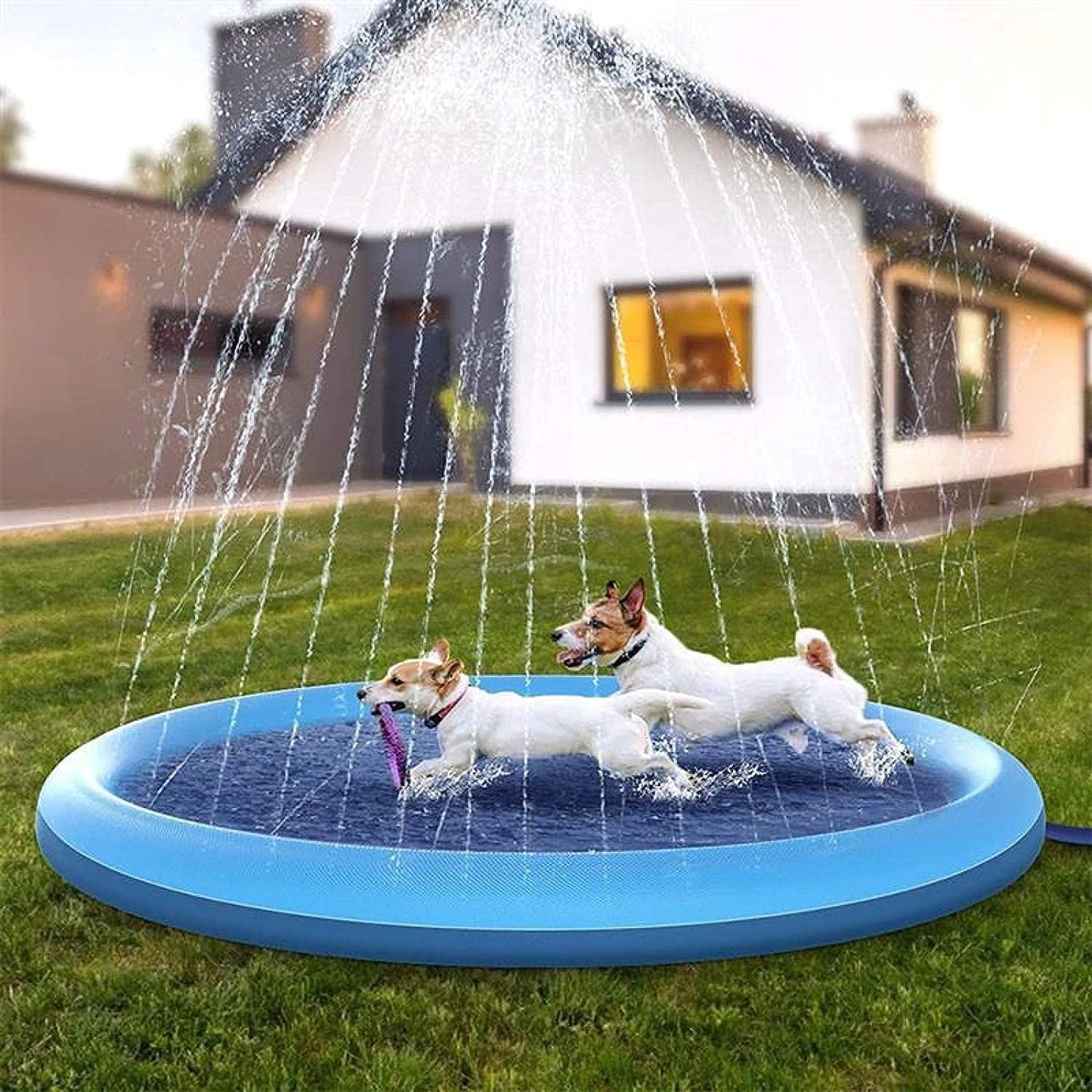 SplashPaws™ | Pet Sprinkler Mat