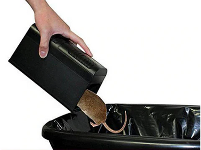 Skanto | Electric Mouse Trap