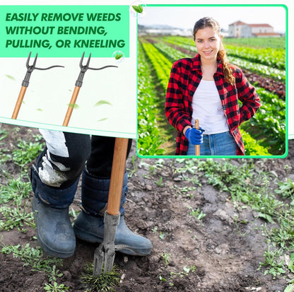 Skanto | 4-Prong Weeder – Effective Iron Garden Tool for Root Removal