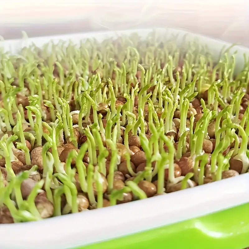 Skanto | Seedling Tray with Lid – Double-Layer Seedling Tray for Efficient Seed Germination