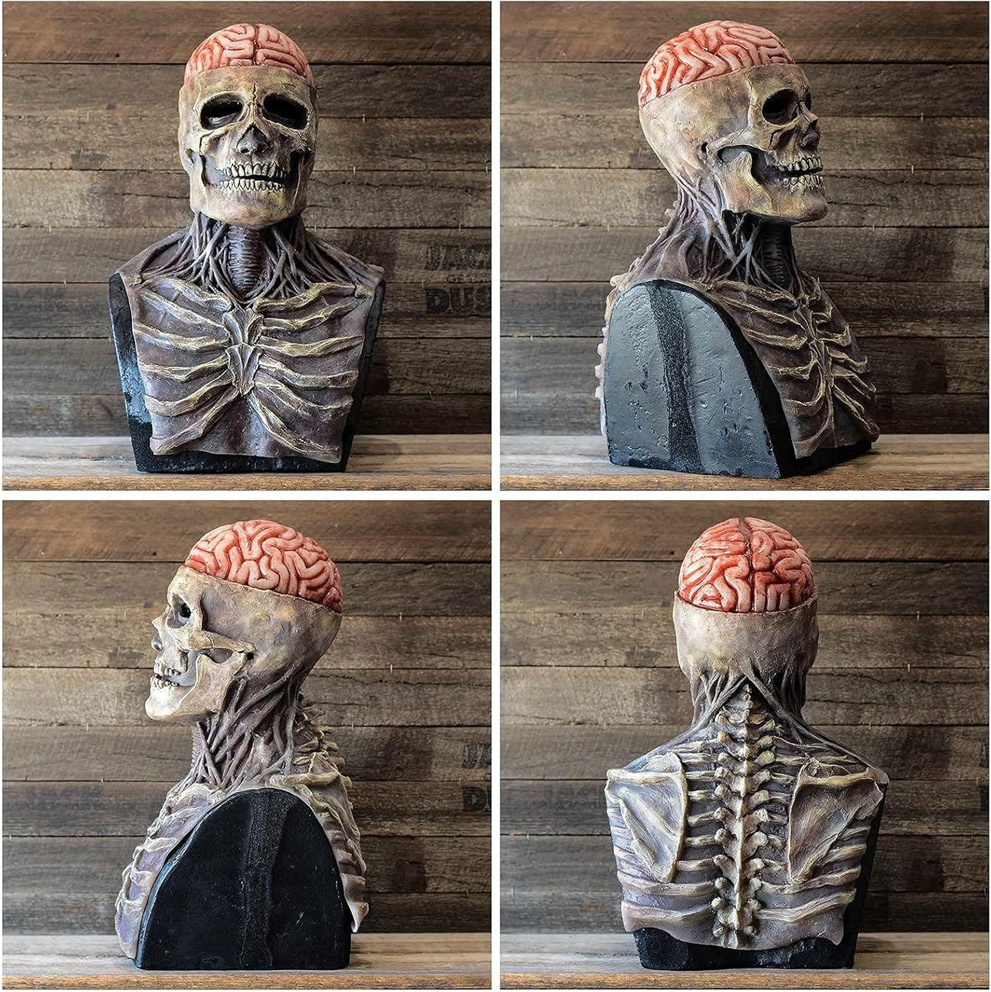 BowLift | Halloween Skull Mask with Brain Detail