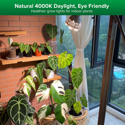 Skanto | Sansi 24W Grow Light Bulb, Full Spectrum, High Ppfd, Perfect For Indoor Plants & Flowers