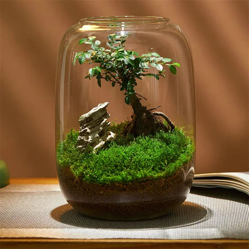 Micro Landscape Green Oasis Glass Vase | Karnz