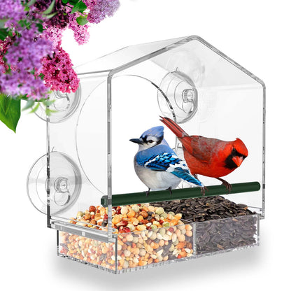 Skanto | Window Bird Feeder for Outdoor Use