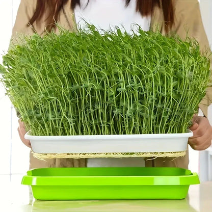 Skanto | Seedling Tray with Lid – Double-Layer Seedling Tray for Efficient Seed Germination