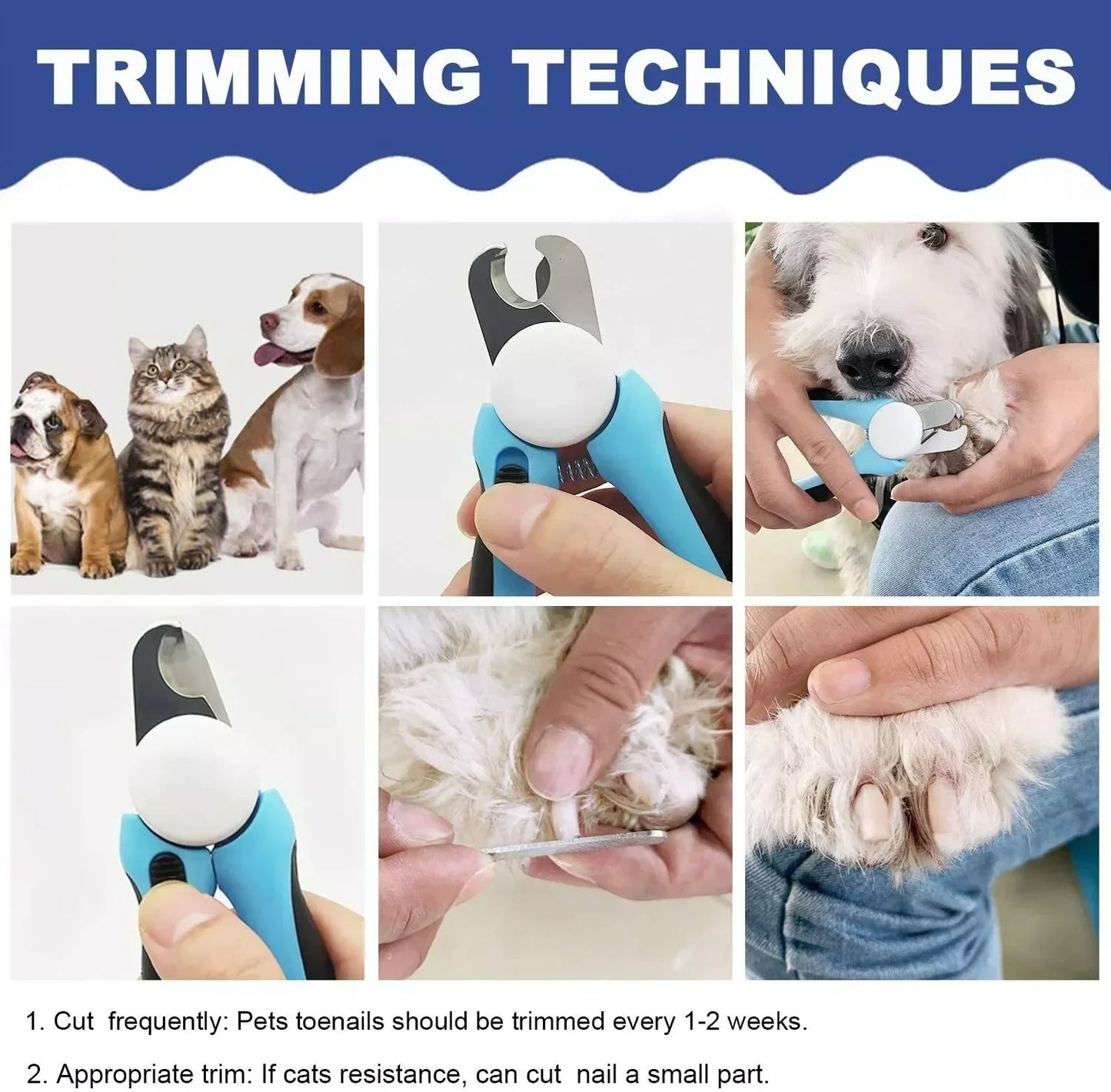 Skanto | Stainless Steel Pet Nail Clippers with Safety Guard and Free Nail File - Perfect for Medium and Large Dogs