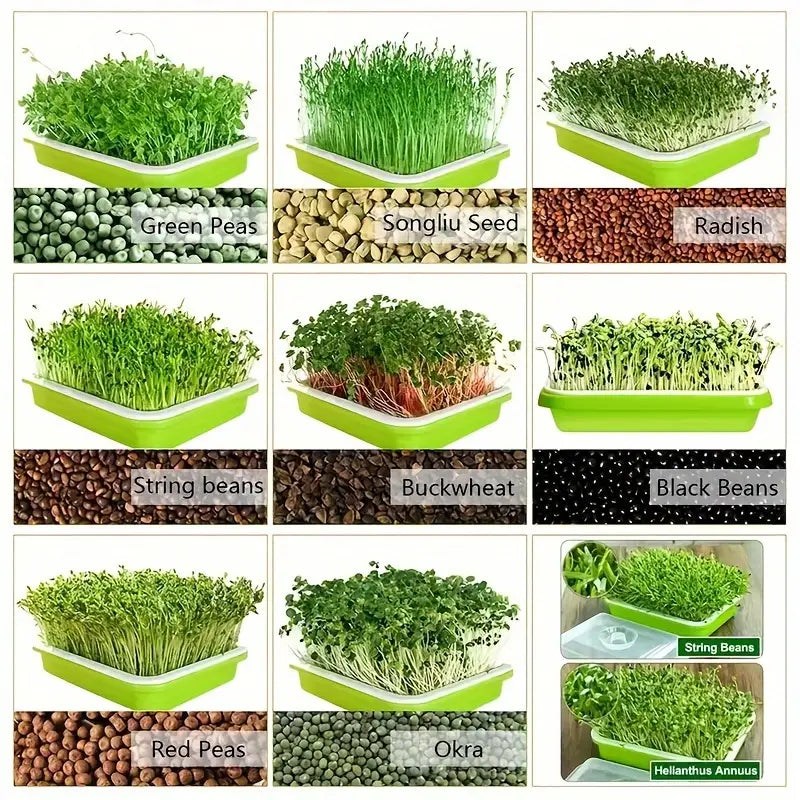 Skanto | Seedling Tray with Lid – Double-Layer Seedling Tray for Efficient Seed Germination