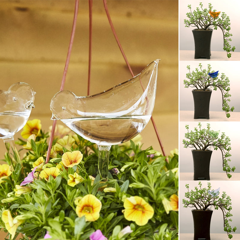 Self-watering glass birds