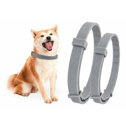 Skanto | Adjustable Pet Insect Repellent Collar