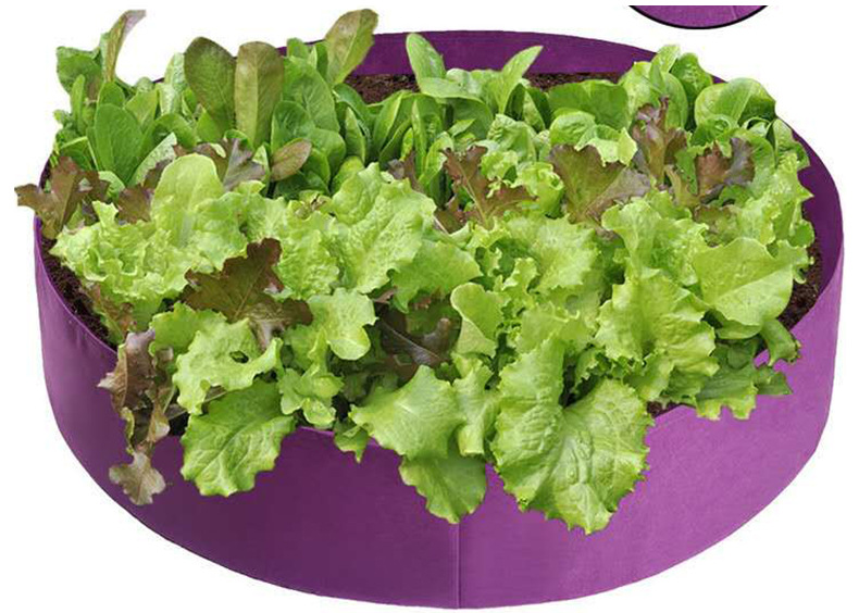 BowLift | Round Plant Growth Bag – Garden Container for Easy Plant Growth