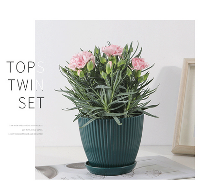BowLift | Flower pot with groove structure and saucer – Sturdy plastic pot for plants