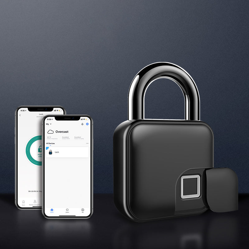 Skanto | Graffiti Fingerprint Padlock