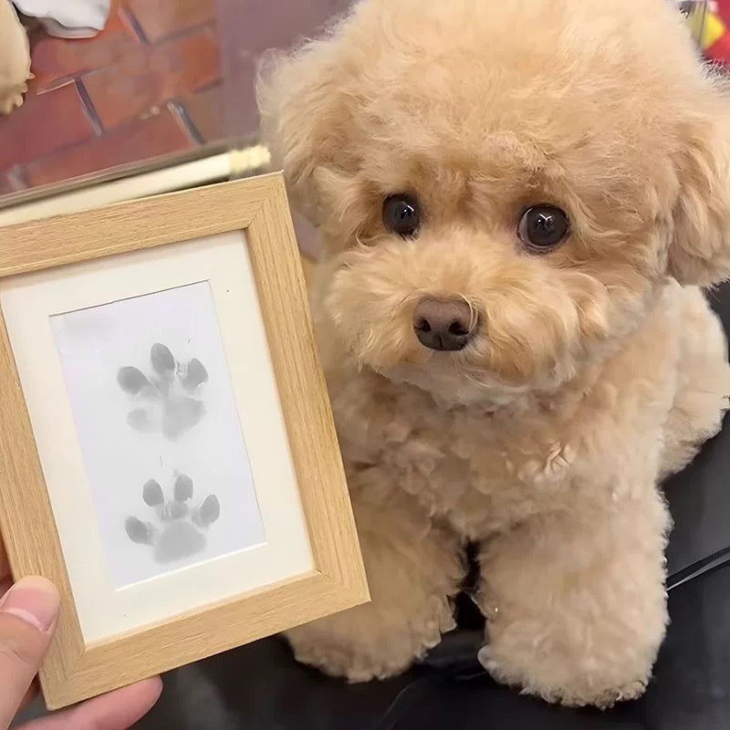Norvo | DIY Pet Paw Print Memory Frame