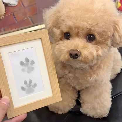 Norvo | DIY Pet Paw Print Memory Frame