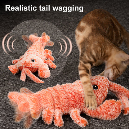 Skanto | Cat and Dog Toy