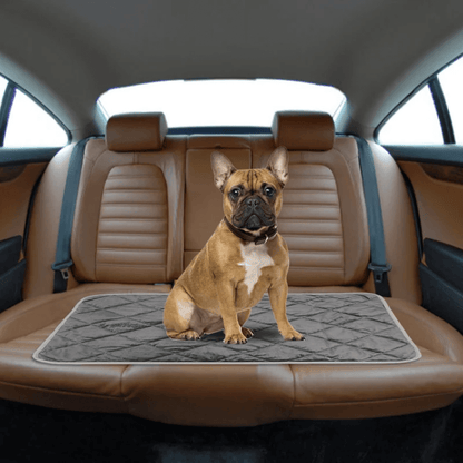 ToastyPaws Dog Self-Heating Pad