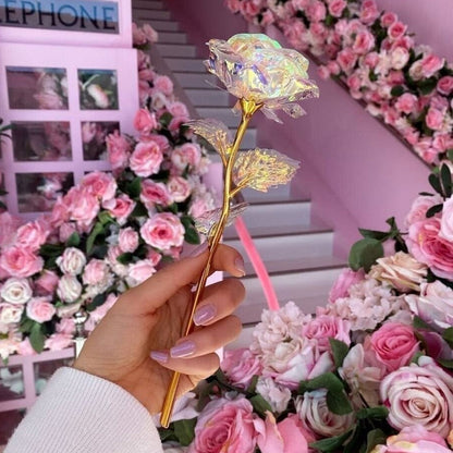 BowLift | Shiny Sleeping Rose Valentine's Day