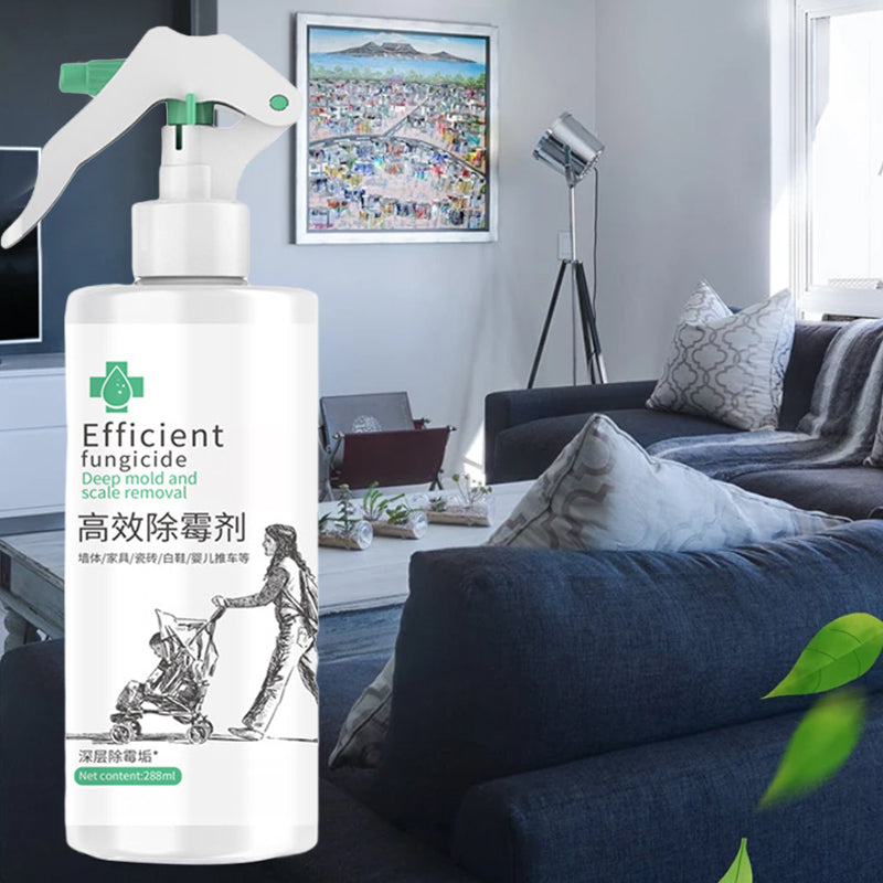 Skanto | High-Efficiency Mold Remover