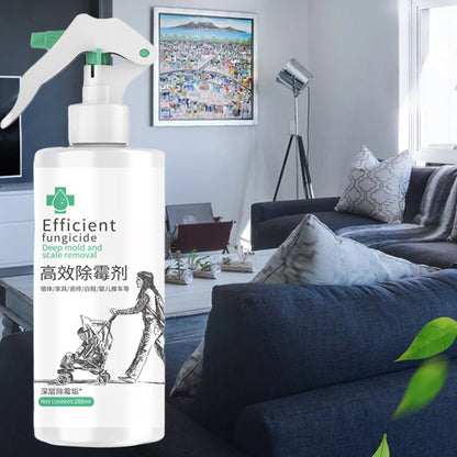 Skanto | High-Efficiency Mold Remover