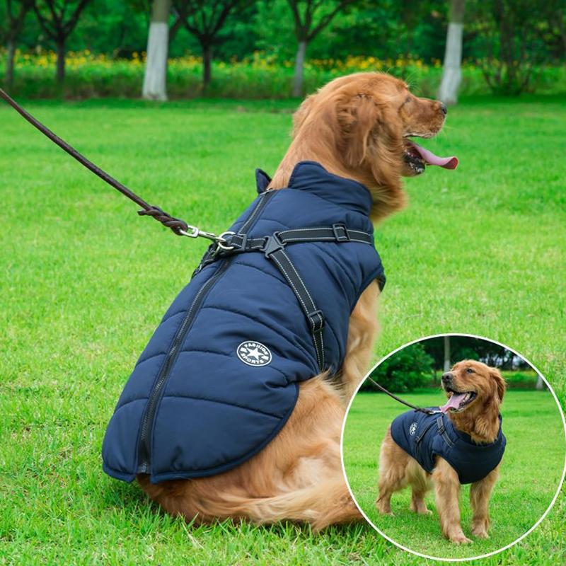 Skanto | Winter Zipper Coat for Dogs