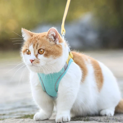 Harness and Leash Set for Cat | Skanto