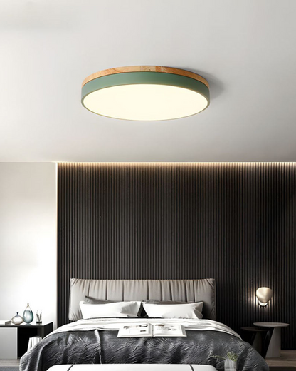 Skanto | Modern Pendant Light with Nature-Inspired Form