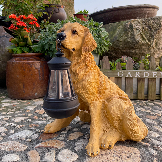 Playful Paws Solar Lamp Bowlift
