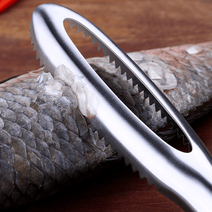Skanto | Fish Skin Scaler