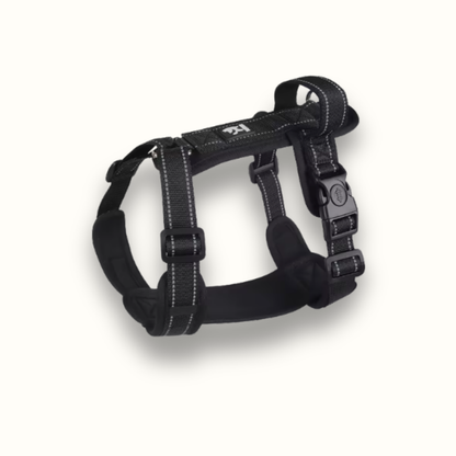 Skanto | StayPut - Adjustable No-Pull Dog Harness
