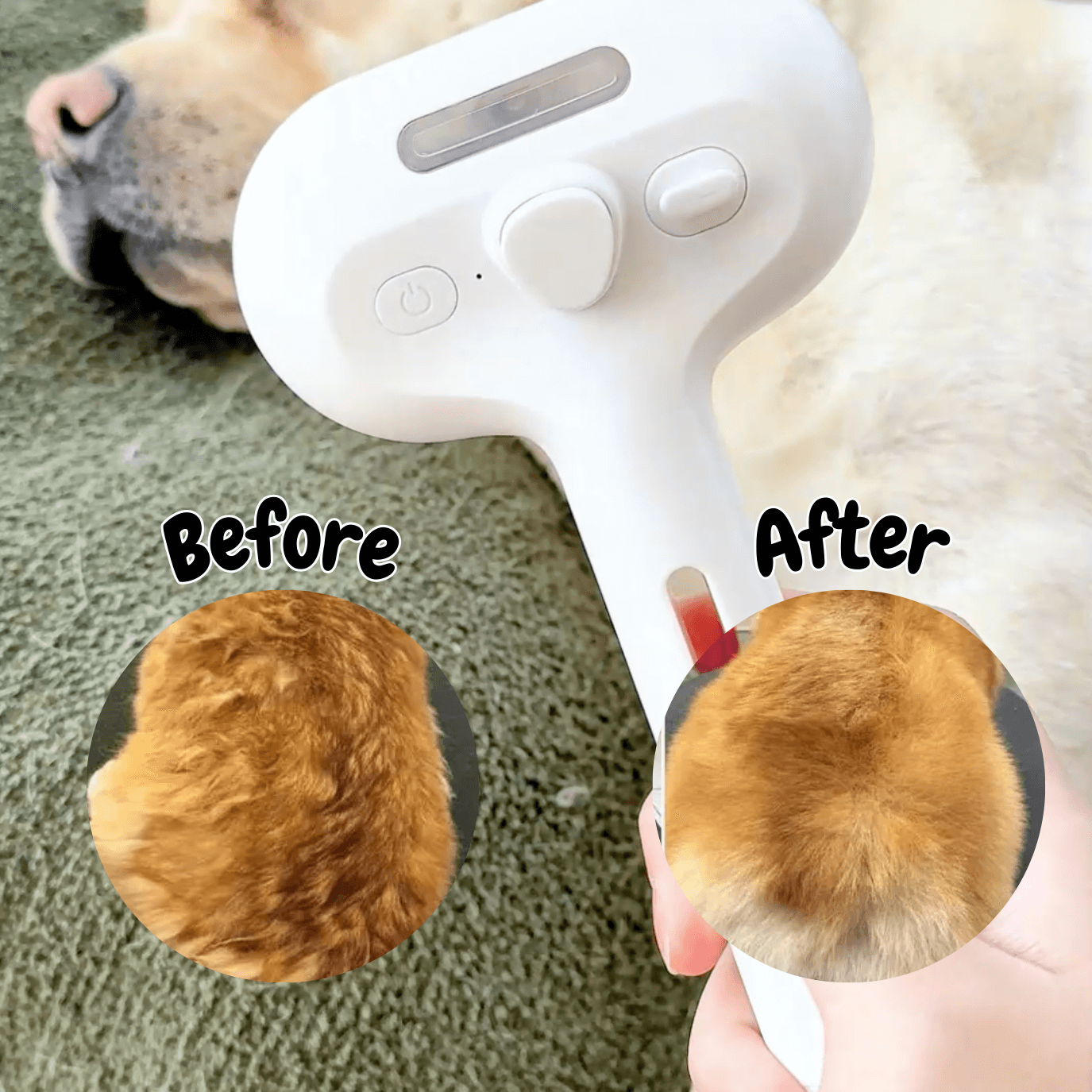 Skanto | DampfVacht Steam Brush – Gentle Care for Every Dog Coat