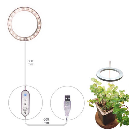 Skanto | Grow Light for Indoor Plants