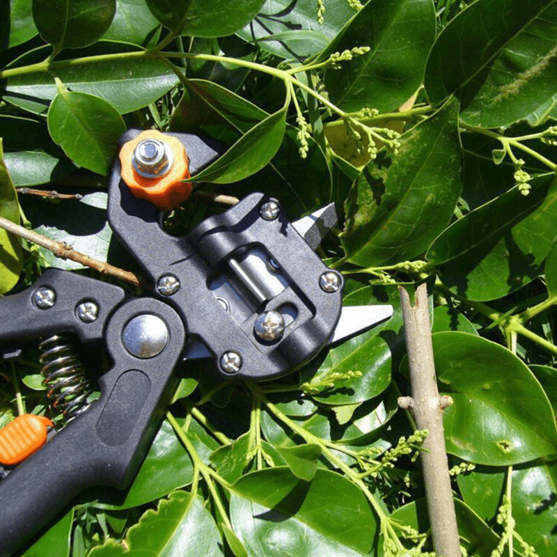 Skanto | Professional Garden Grafting Tool Set