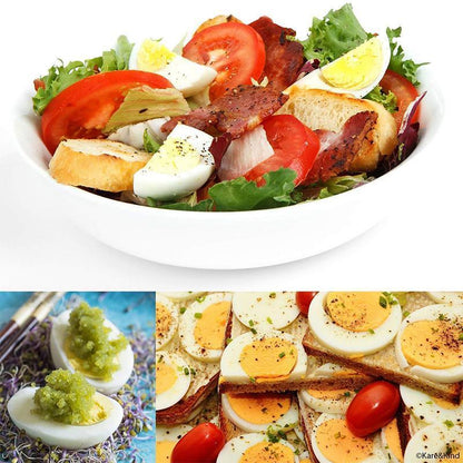 Household Multi-function Egg Slicer | Karnz