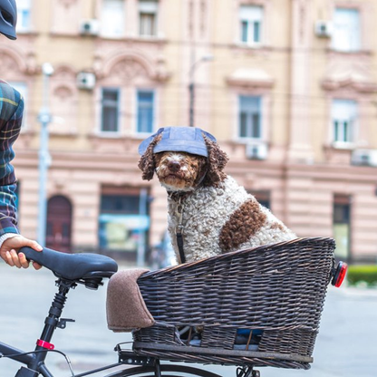 BowLift | Outdoor Sun Protection Hood for Dogs