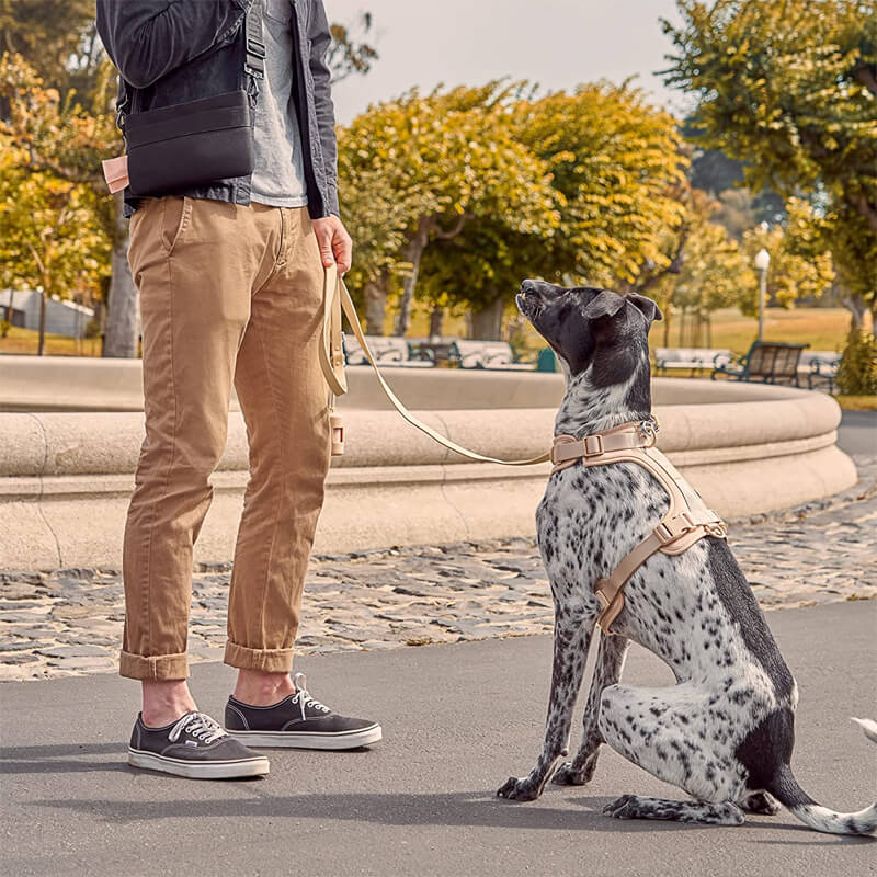 Skanto | Adjustable Dog Vest Harness with 3 Leash Clips