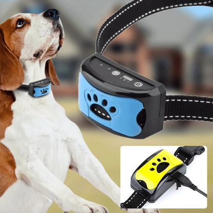 Rechargeable, waterproof dog trainer