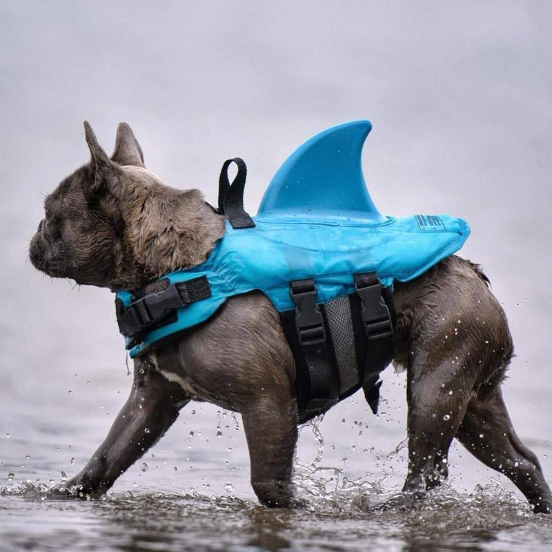 Skanto | Shark Life Vest