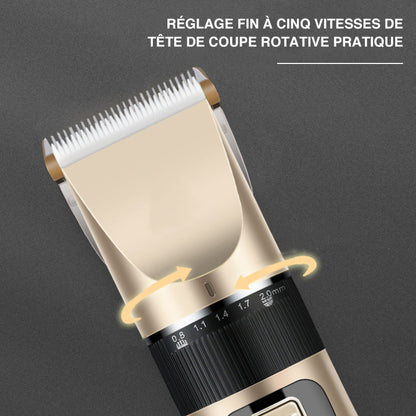 Skanto | Professional Pet Grooming Kit