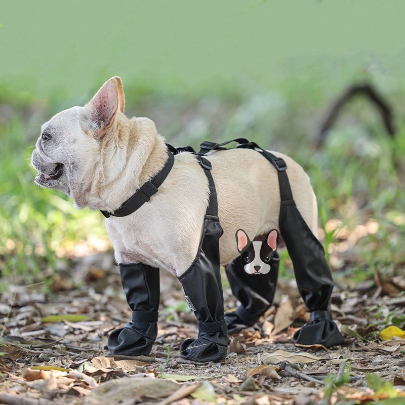 BowLift | Suspender Boots