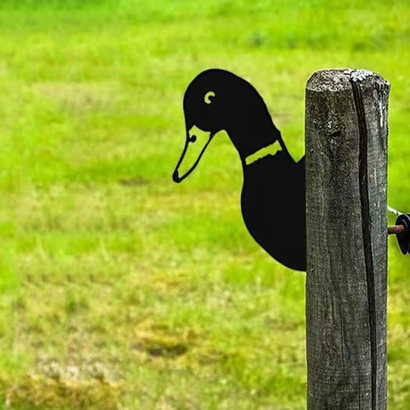 Skanto | Farm Decor – PeepFarm – Realistic Animal Design – Garden Metal Art