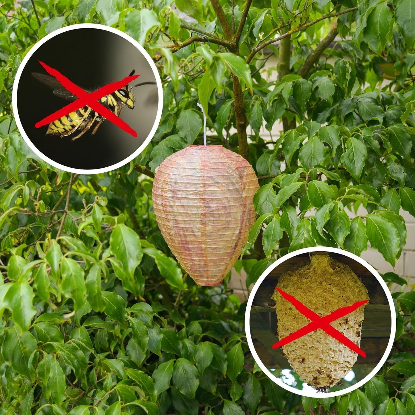 BowLift | Wasp Nest Defense Lamp – Hanging Protection Net Against Wasps and Insects