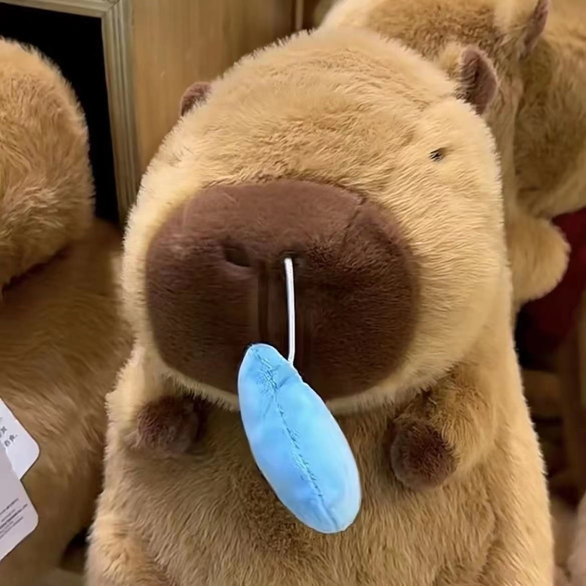Skanto | Capybara Snot Plush