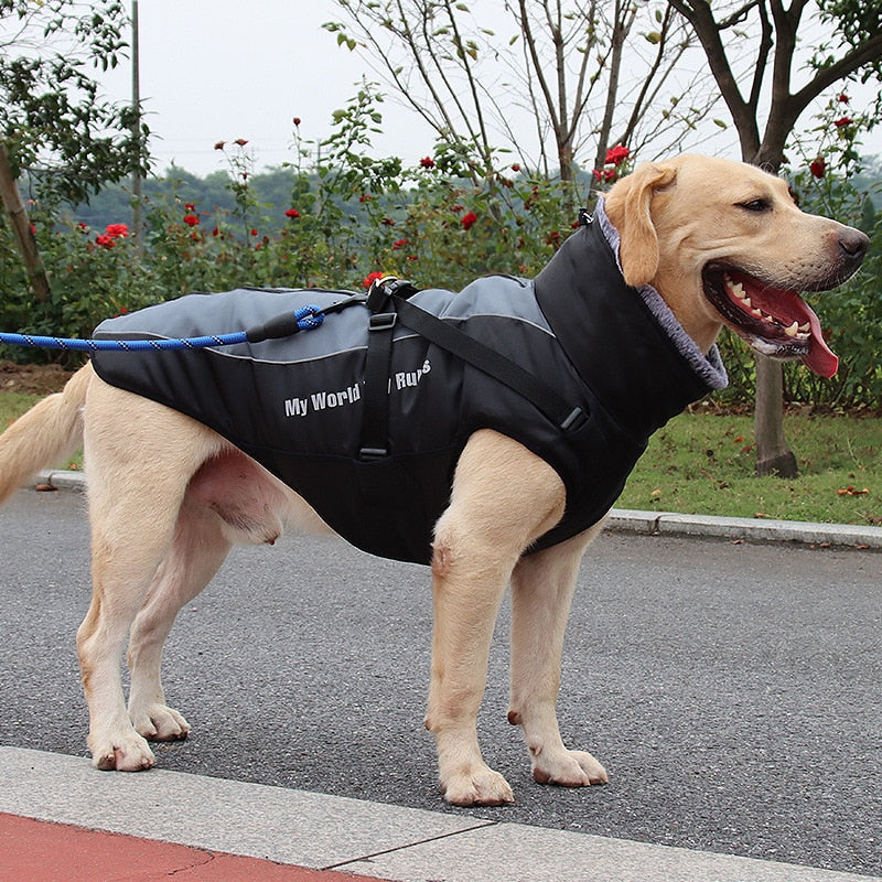 BowLift | Waterproof Winter Dog Jackets