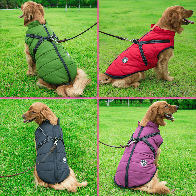 Winter Dog Jacket with Harness | Karnz