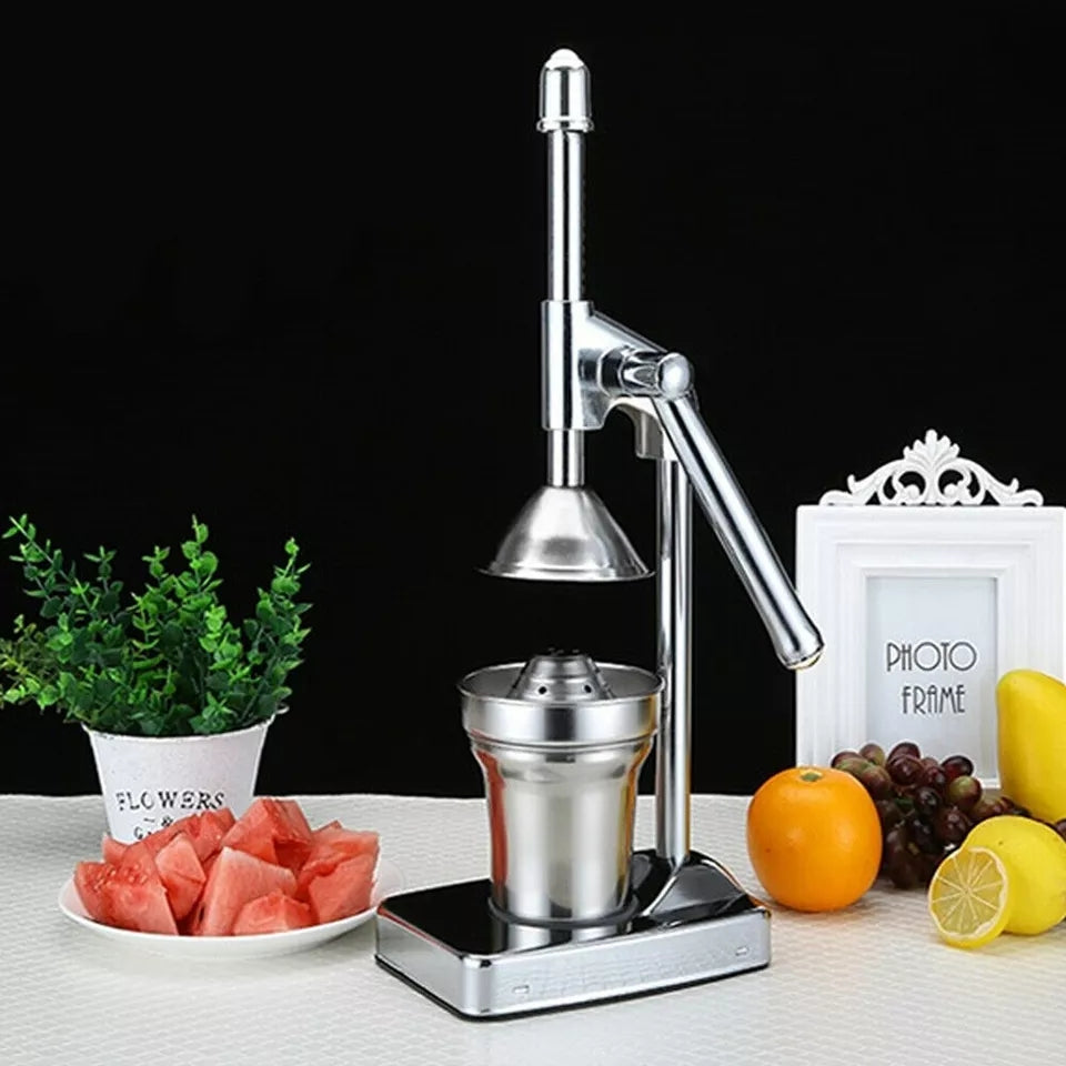 Stainless steel fruit juicer
